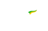 Dr. Carlos Cruz – Candidato Deputado Estadual